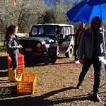 Casa Mattei Farma *