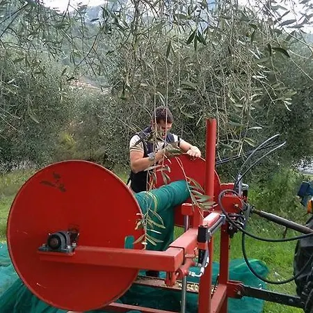 Casa Mattei Farmház Arrone