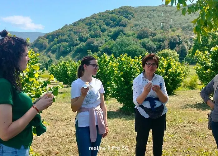 Farm stay Casa Mattei