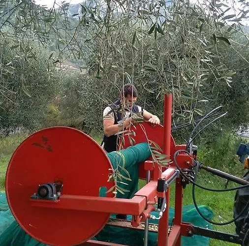 Casa Mattei Farmház Arrone